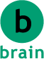 brain
