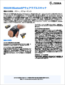 RS6100 製品スペックシート