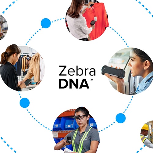 Zebra DNA